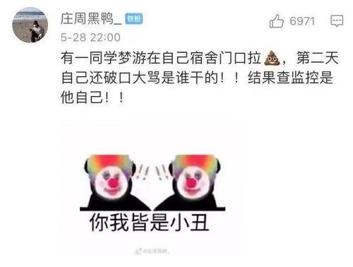 八卦爆料搞笑段子视频在线观看,笑料横生！搞笑段子视频在线观看，欢乐无限  第3张