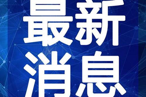 张小姐最新爆料新闻视频,揭秘最新新闻视频背后的惊人真相  第3张