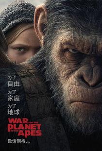 猩球崛起在线免费观看,重燃自由之火——在线免费观影指南  第2张